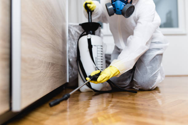 Best Pest Removal Services  in Edwardsburg, MI