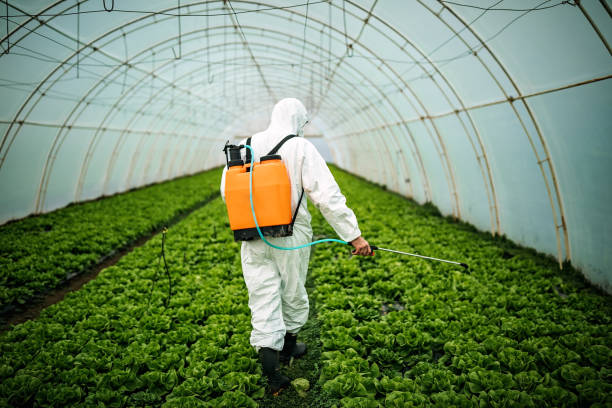 Best Emergency Pest Control  in Edwardsburg, MI