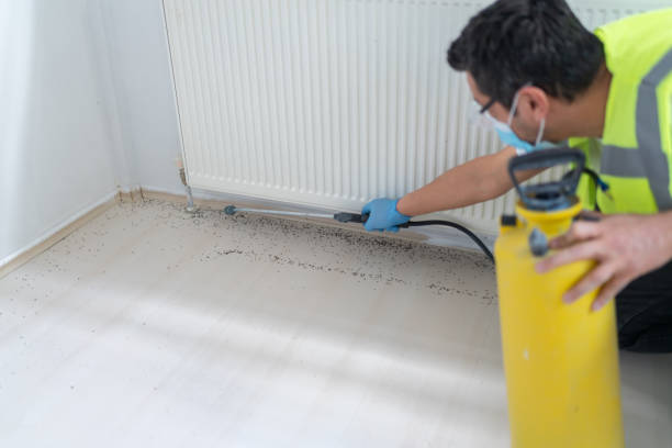 Pest Control Cost in Edwardsburg, MI