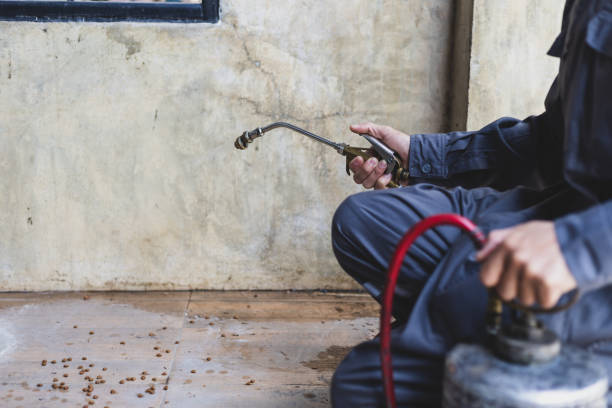 Best Rat Extermination Near Me  in Edwardsburg, MI