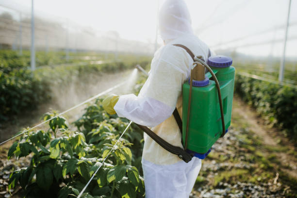 Best Best Pest Control Companies  in Edwardsburg, MI